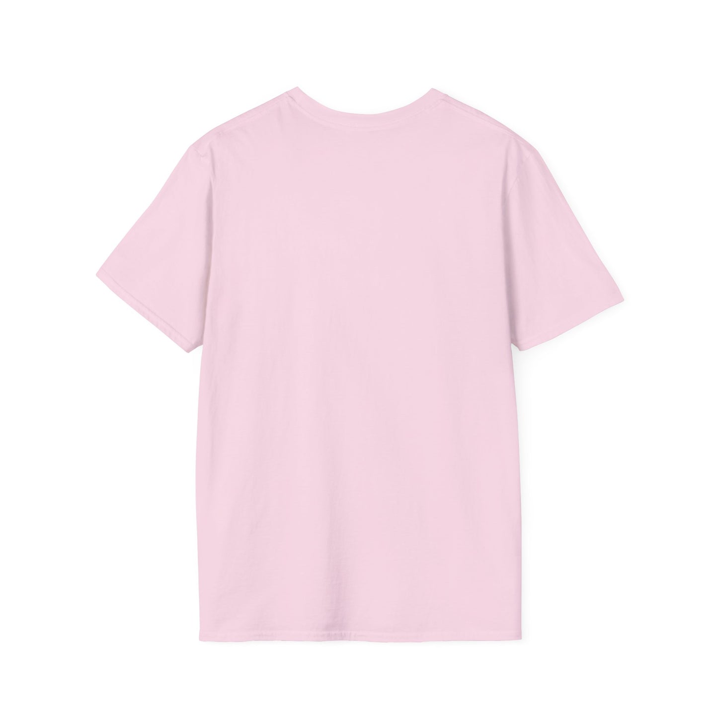 I Only Day Drink on Days Ending in Y Unisex Softstyle T-Shirt - Perfect for Casual Gatherings & Holidays
