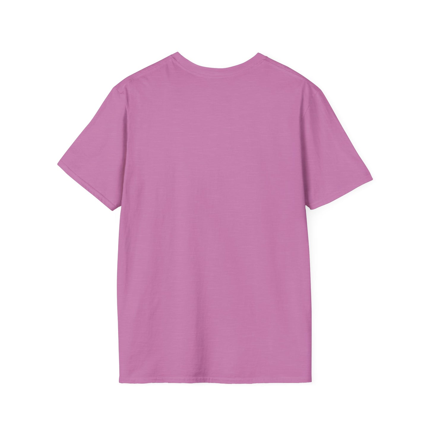 I Only Day Drink on Days Ending in Y Unisex Softstyle T-Shirt - Perfect for Casual Gatherings & Holidays