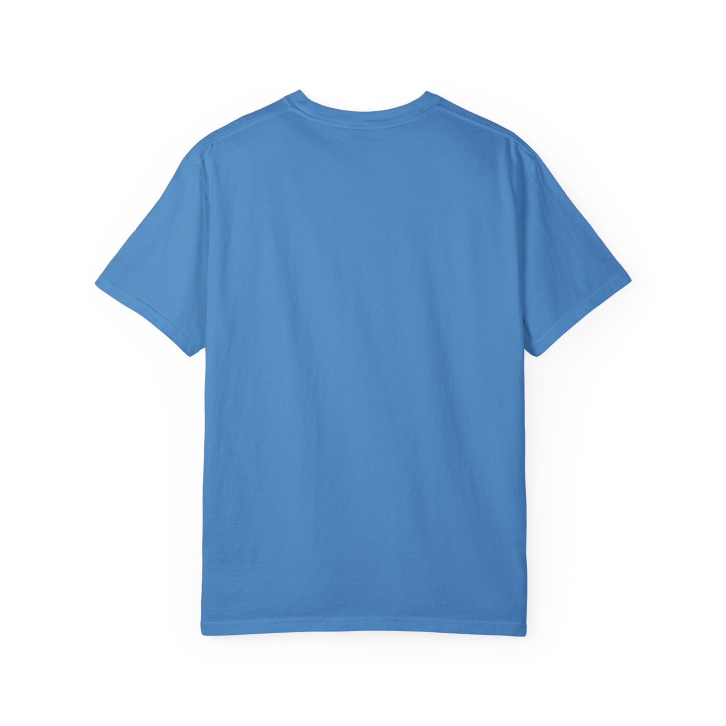 NY On Top the World Unisex Garment-Dyed T-shirt - Urban NYC Art Tee